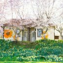 거북이마을 이미지