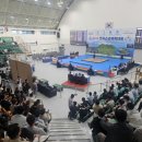 고성군 실내체육관 이미지