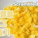 토마토 생각