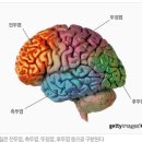 원주혜윰아동;청소년발달센터