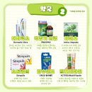 열매약국 | 베트남 나트랑 쇼핑리스트 기념품 총정리 (롯데마트/DS약국/ K마트/슈렉 기프트 샵)