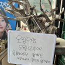 신비섬횟집 티스토리