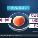 이뻐지는이야기