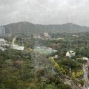 신라한정식 이미지