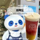 금릉로데오(공차카페 앞) | 차백도 메뉴 추천 거봉젤리스무디 망고포멜로 비교해봄