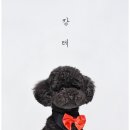 몽그라피 이미지