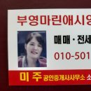 월영동109 이미지