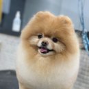 멍 삼촌 네이버블로그
