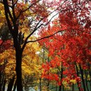 입곡군립공원 이미지