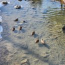 거창종합내과의원 이미지