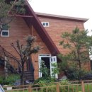 달빛 아리수 이미지