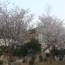 가고파밸리 이미지