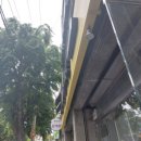 가보세삼계탕 이미지