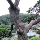 도곡리 이미지