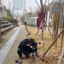 비에스인력 이미지