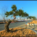 혁신도시 진입로 이미지