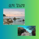 개울가민박 | 올해 여름 마지막 야외 입수 : 스노클링, 다이빙하기 좋은 삼척 갈남항