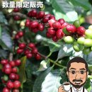 우송농장 이미지