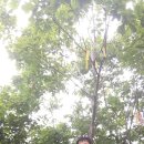 입석마을회관 이미지