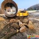 군산시-02600 이미지