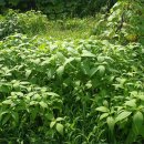 내곡농장 이미지