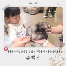 청수매점 | [리뷰] 인천 서창동 실내동물원 아기와 갈만한 곳 쥬벅스 방문 후기