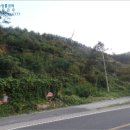 부여(홍산)-04 이미지