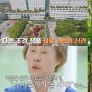 공감조경나무병원