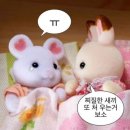 피알시대 | 광고x 헤이딜러 셀프경매로 중고차 판 찐 리얼 후기(경매가보다 깎임..)