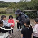 미리내캠프 이미지