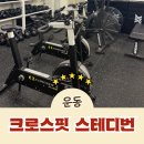 둔야로33번길(백석천 제2공영주차장 진출입로) | 10여년 만의 크로스핏 도전기! 누구나 시작할 수 있는 즐거운 운동 이야기 💪