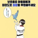 용인대 태비태권도장 이미지