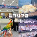 프루븐 | 엑스코에서 펼쳐진 파충류의 세계! 코리아 렙타일포럼 in 대구 초보 집사의 내돈내산 솔직 후기