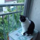 OK동물병원 이미지