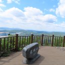 (주)호랑나비