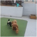 엄마 잘 다녀와 이미지