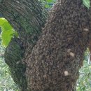 무풍면010 이미지