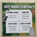 동물 친구들 만나러 가세요! 테이블에이 실내 동물원 후기 | 파충류, 사막여우, 알파카, 친칠라, 미어캣 등