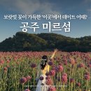 충남 공주 가볼만한곳 금강신관공원 미르섬 알리움 대전근교 드라이브 데이트