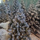 연화공원 영화의전당 | 부산 영화의 전당 크리스마스 빌리지[빠에야,손내향미×신도랩후기/크리스마스마켓 운영정보]