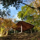 백운동 정원 이미지