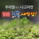 청유담 쇼핑하우