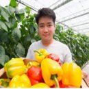 광(光)농장 이미지