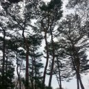 더기운 네이버블로그