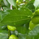 유진농장(2) 이미지