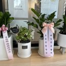라라피아노교습소 이미지