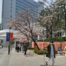 봄, 봄 네이버블로그