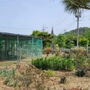 숲속꼬마어린이집 이미지