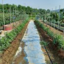 신무농장 이미지