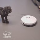 로봇청소기 문턱 경사로 잘넘는 물걸레 겸용 클리엔 T24